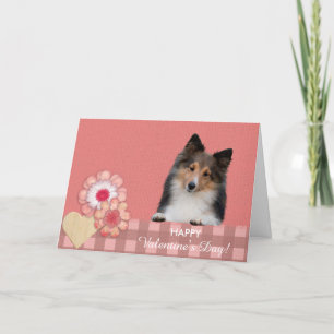 Valentin för hund för Shetland Sheepdog gulligt Helgkort