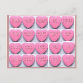 Valentin för hundarna helg vykort