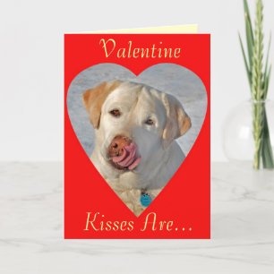 Valentin för Labrador Retriever kort för dag