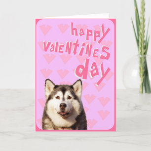 Valentin för siberian husky lyckligt kort för