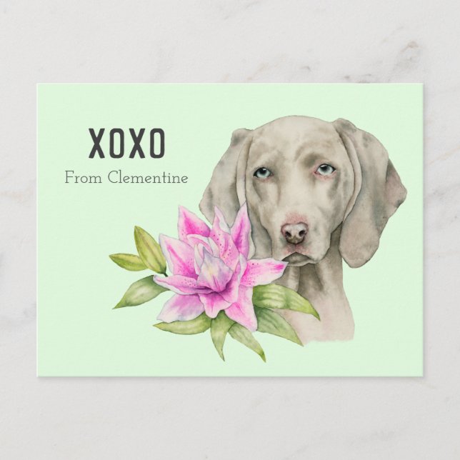 Valentin för Weimaraner hund XOXO | Helg Vykort (Framsida)