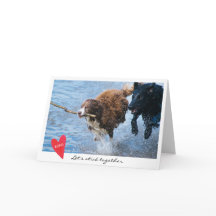 Valentin fotoet för daghunden l5At oss klibba