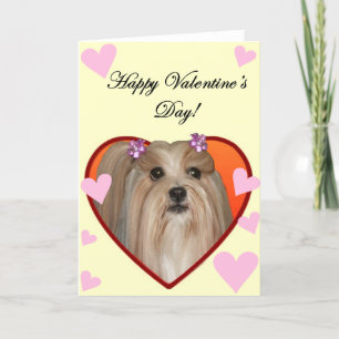 Valentin kort för Shih Tzu hälsning