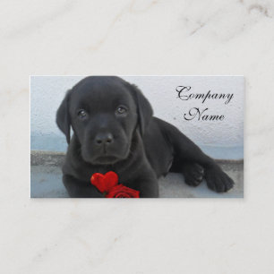 Valentin labrador valp visitkort