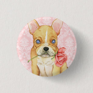 Valentin rosa Frenchie Knapp