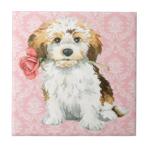 Valentin rosa Havanese Kakelplatta