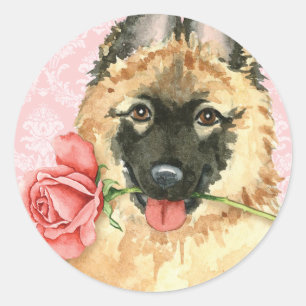 Valentin rosa Tervuren Runt Klistermärke