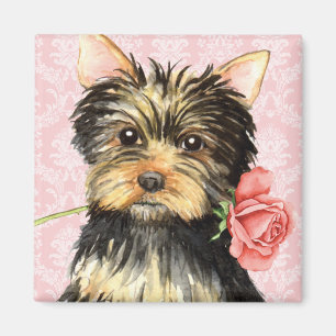 Valentin rosa Yorkie Magnet
