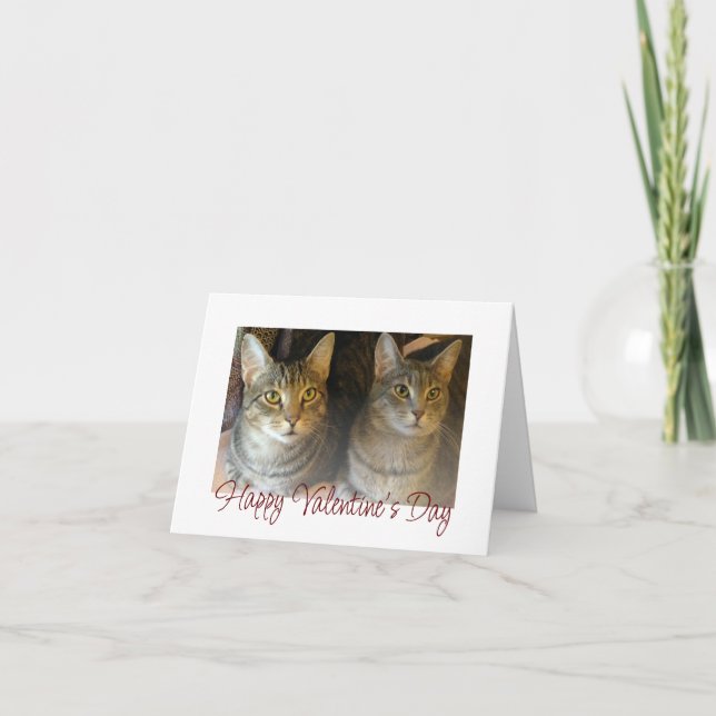 Valentindagen Cute Cats Red Script Typography Helgkort (Framsida)