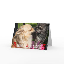 Valentindagen Cute Hund Photo Hugs och Kisses