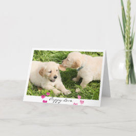 Valentindagen Cute Hundar Puppy Kärlek Helgkort