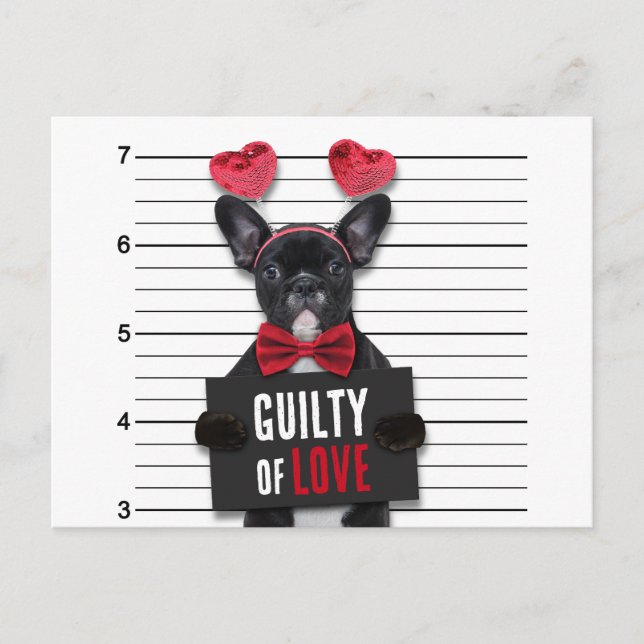 Valentindagen Guilty Kärlek Hund Funny Mugshot Helg Vykort (Framsida)