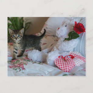 valentine alla hjärtansdags-katt kort