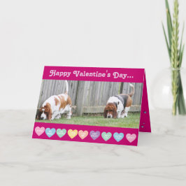 Valentine - Bassets på det populära Alla hjärtans  Helgkort