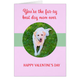 Valentine Best Hund Mamma Kärlek Cute Hälsningskort