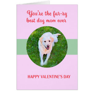 Valentine Best Hund Mamma Kärlek Cute Hälsningskort