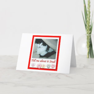 Valentine Black and White Cat Helgkort