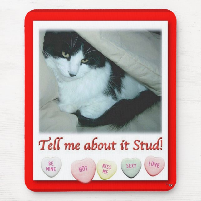 Valentine Black and White Cat Musmatta (Framsidan)