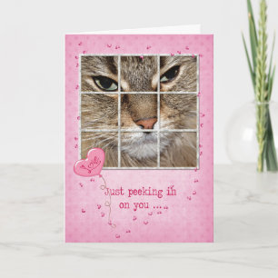 Valentine Cat in Window Helgkort