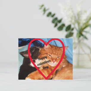 VALENTINE CAT KÄRLEK HELG VYKORT