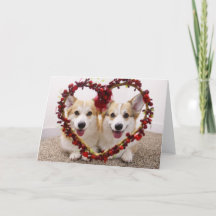 Valentine Corgis-hälsningskort och -kuvert