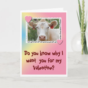 Valentine Cow-hälsningskort Helgkort