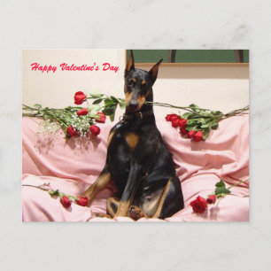 Valentine Dobercard Helg Vykort