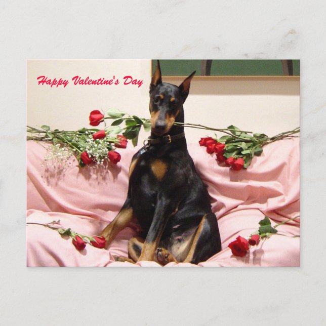 Valentine Dobercard Helg Vykort (Framsida)