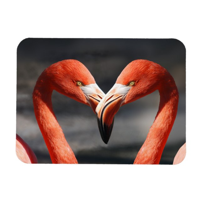 Valentine Flamingo Magnet (Horisontell)