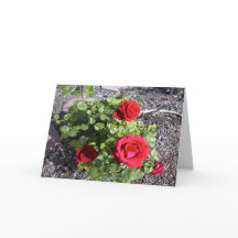 Valentine för en Bereaved Make eller frun