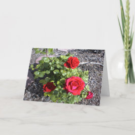 Valentine för en Bereaved Make eller frun Helgkort