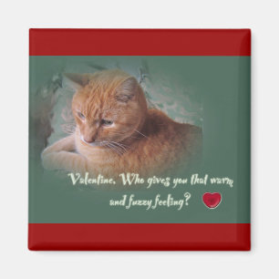 Valentine från katten magnet