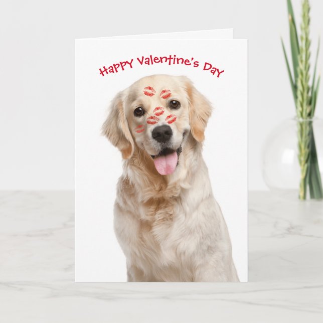 Valentine Golden Retriever Kort (Framsida)