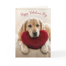 Valentine Golden Retriever med hjärtkudde