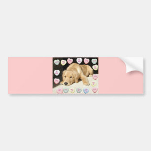 Valentine Golden Retriever Puppy Bildekal