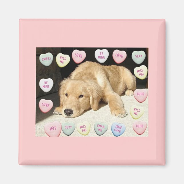 Valentine Golden Retriever Puppy Magnet (Framsidan)