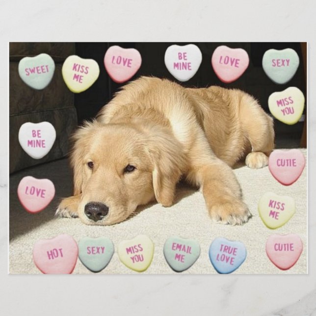 Valentine Golden Retriever Puppy Reklamblad (Framsidan)