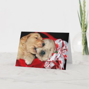 Valentine Golden Retrievers Helgkort