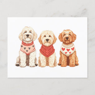 Valentine Goldendoodle Hundar Vykort