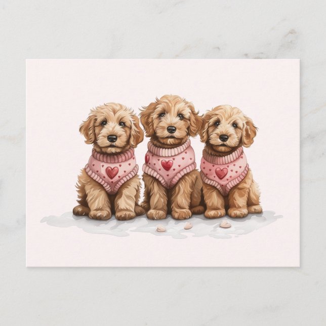 Valentine Goldendoodle Hundar Vykort (Framsida)