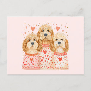 Valentine Goldendoodle Hundar Vykort
