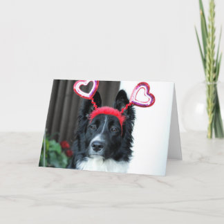 Valentine Gräns Collie Greeting Card Helgkort