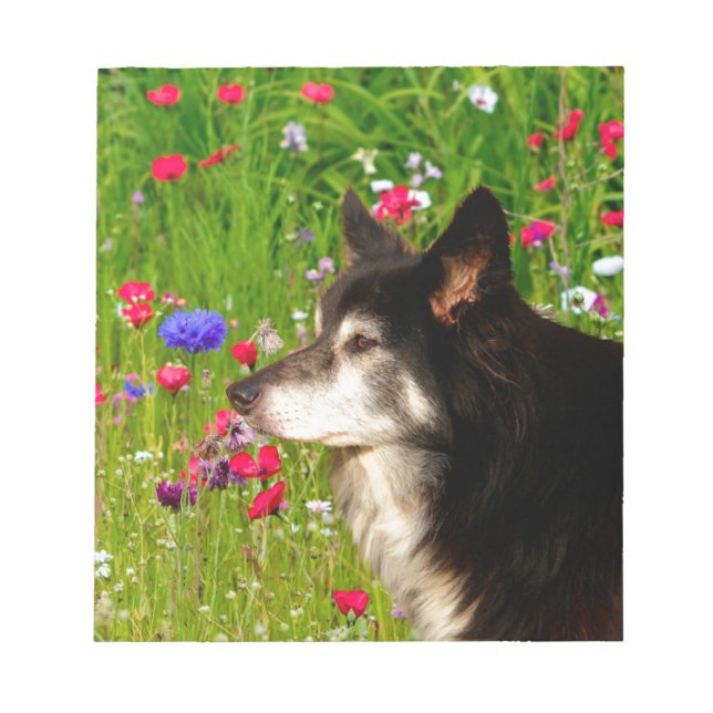 Valentine Gräns Collie med vackra blommor Anteckningsblock (Framsida)