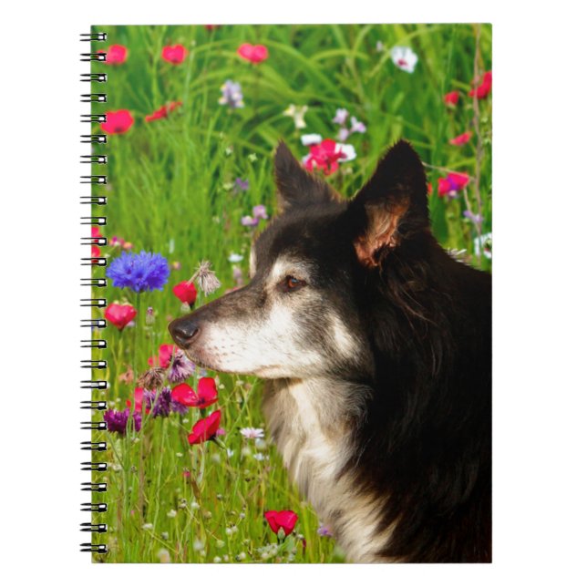 Valentine Gräns Collie med vackra blommor Anteckningsbok (Framsidan)