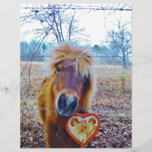 Valentine Heart Horse