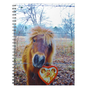 Valentine Heart Horse Anteckningsbok