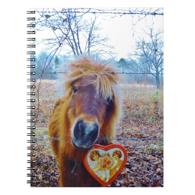 Valentine Heart Horse Anteckningsbok (Framsidan)