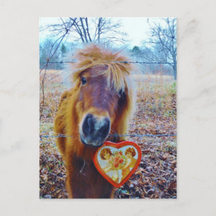 Valentine Heart Horse Helg Vykort