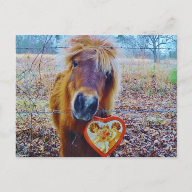 Valentine Heart Horse Helg Vykort (Framsida)