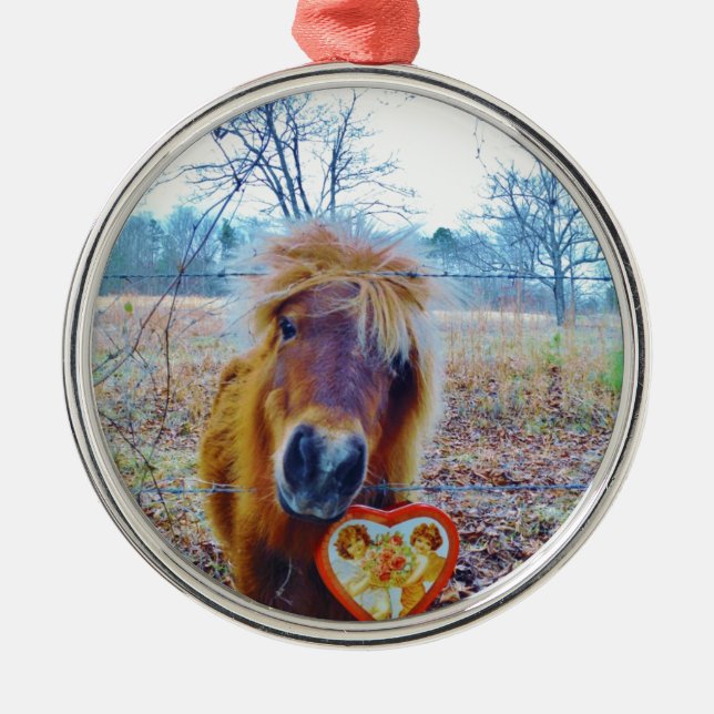 Valentine Heart Horse Julgransprydnad Metall (Framsidan)